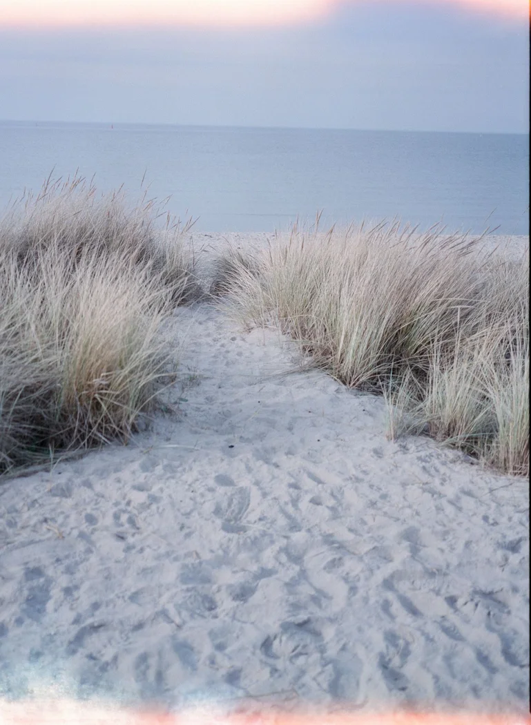 A path through coastal grass toward the sea.
