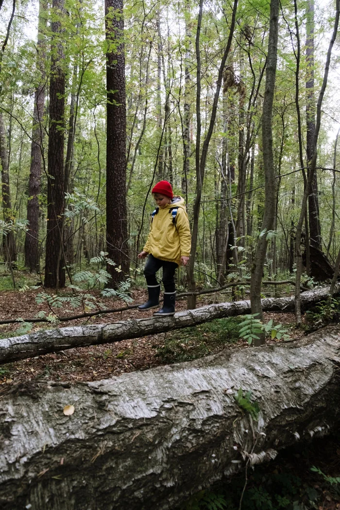 A child exploring a fallen tree in woodland.