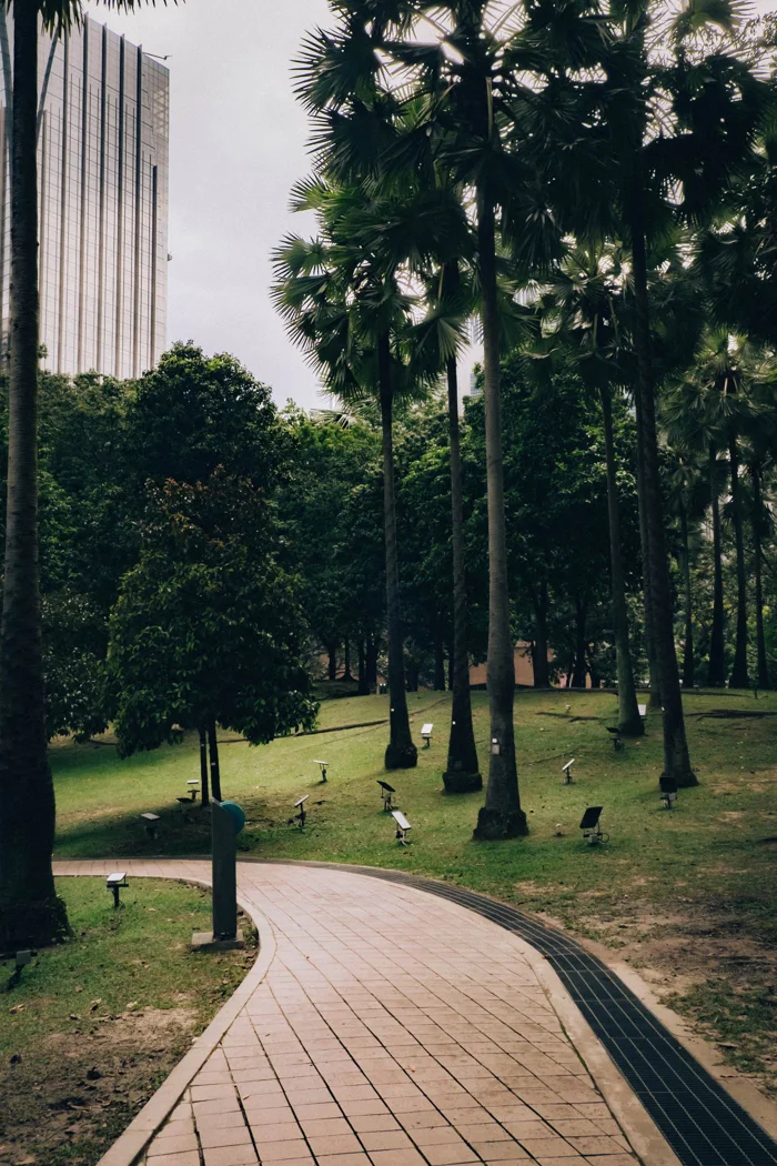 Ein Stadtparkweg in der Nähe hoher Gebäude.