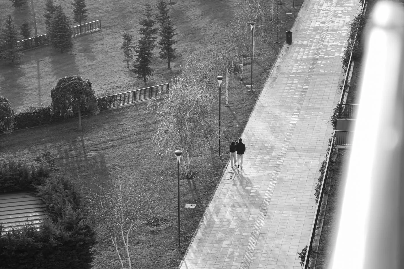 A wet paved park path after rain.